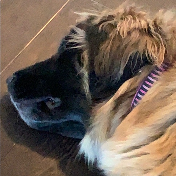 Meet your Posher, Michelle - Picture 2 of 2